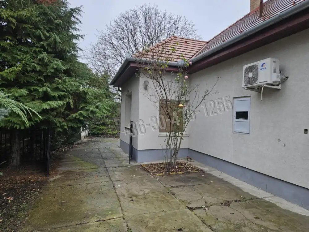 Pest megye - Halásztelek