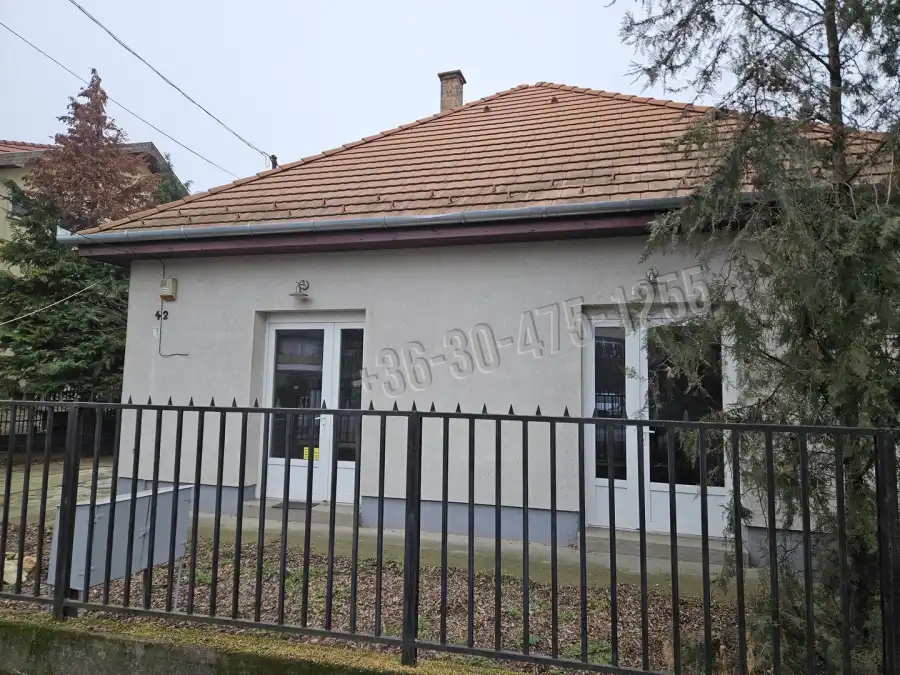 eladó üzlet, Halásztelek